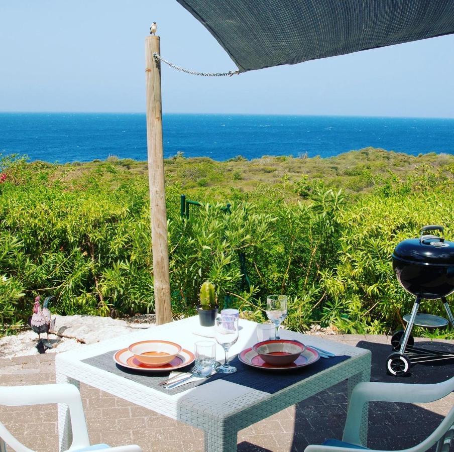 Vip Caribbean Views 300 Meters To The Coral Estate Beach Willibrordus Exterior photo