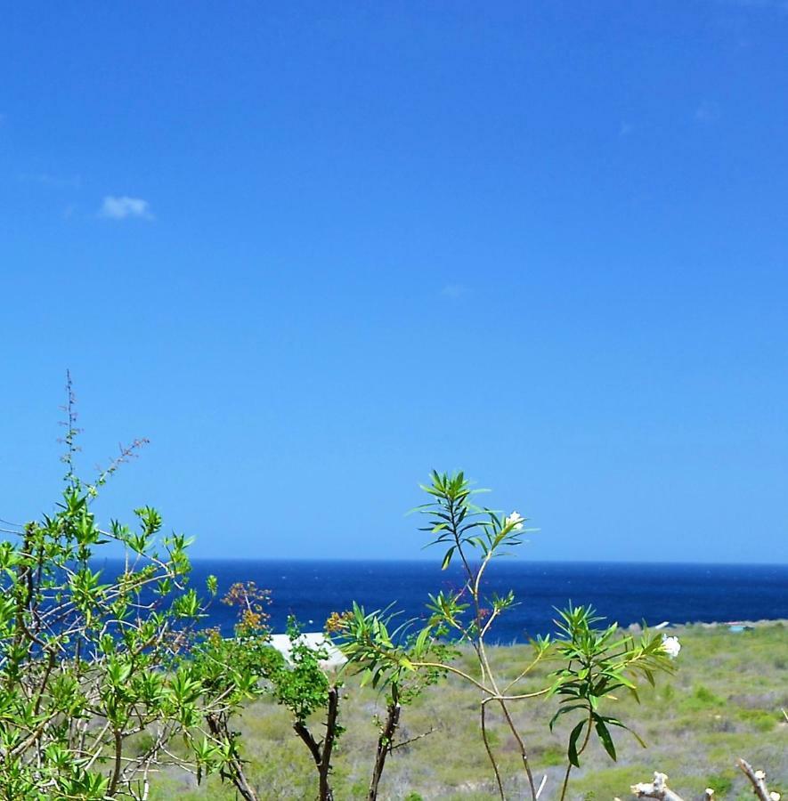 Vip Caribbean Views 300 Meters To The Coral Estate Beach Willibrordus Exterior photo